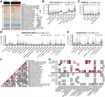 Role of 5-methylcytosine in determining the prognosis, tumor microenvironment, and applicability of precision medicine in patients with hepatocellular carcinoma